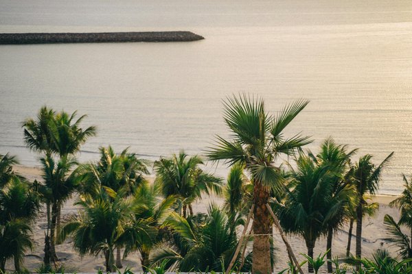 Discover York"s Spookiest Spots: Top Guided Ghost Walks You Can"t Miss!
